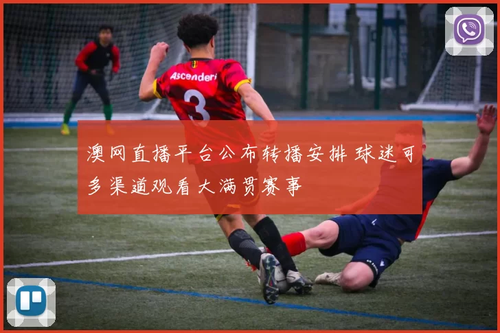 澳网直播平台公布转播安排 球迷可多渠道观看大满贯赛事