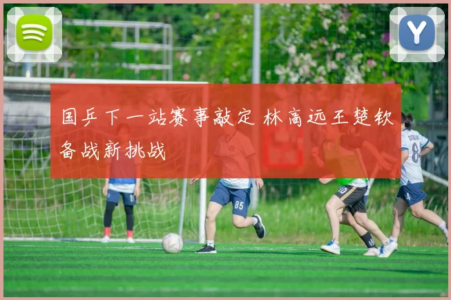 国乒下一站赛事敲定 林高远王楚钦备战新挑战