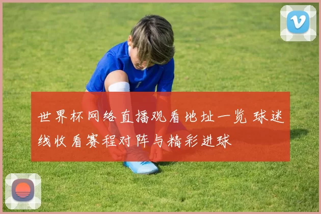 世界杯网络直播观看地址一览 球迷线收看赛程对阵与精彩进球