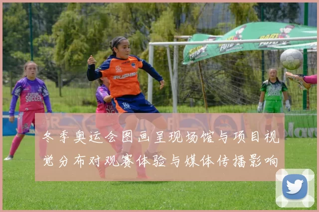 冬季奥运会图画呈现场馆与项目视觉分布对观赛体验与媒体传播影响